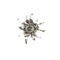 German Edelweiss Brooch