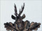 Schneider 19" Black Forest Hunter Theme Eight Day Movement German Cuckoo Clock - GermanGiftOutlet.com
 - 2