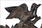 Schneider Black Forest 13" Three Birds Antique Eight Day Movement German Cuckoo Clock - GermanGiftOutlet.com
 - 2