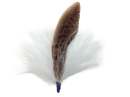 German Hat Single Feather Decor White/Brown - 2