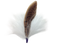 German Hat Single Feather Decor White/Brown - 2