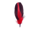 Brown and Red Single Decoration Hat Feather - 1