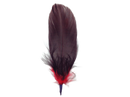 Brown and Red Single Decoration Hat Feather - 2