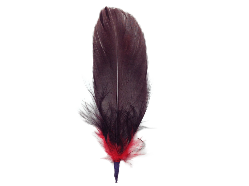 Brown and Red Single Decoration Hat Feather - 2