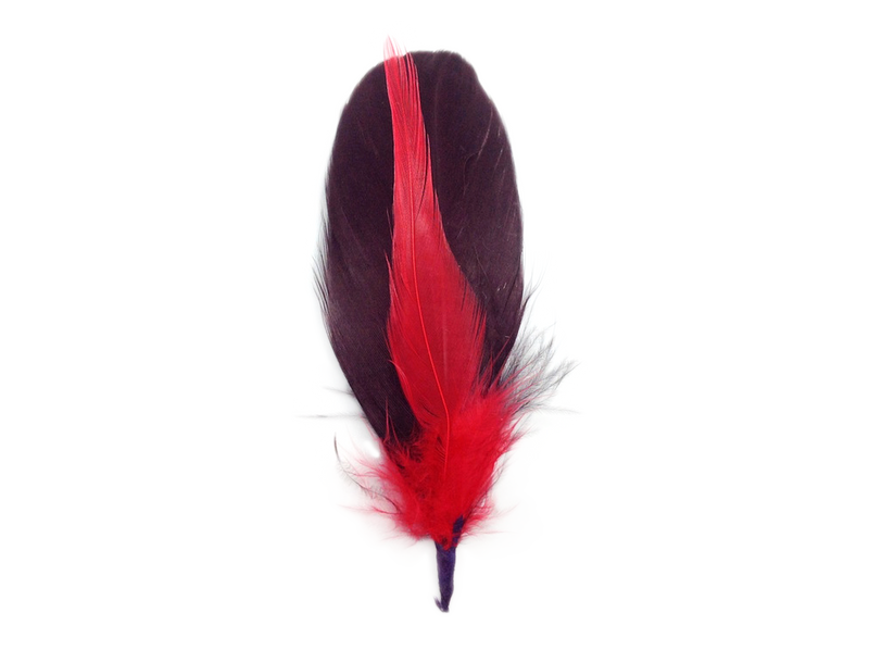 Brown and Red Single Decoration Hat Feather - 1