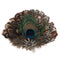 German Themed Deluxe Hat Pin Peacock  Brown Hat Feathers