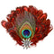 German Themed Deluxe Hat Pin with Peacock  Red Feathers