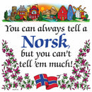 Norwegian Gift Magnet Tile (Tell A Norsk)