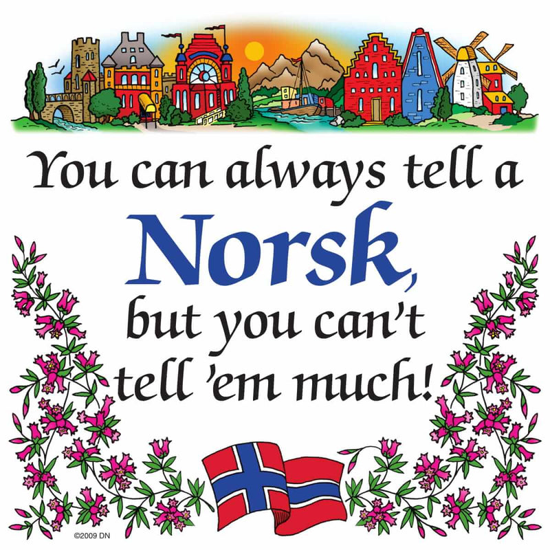 Norwegian Gift Magnet Tile (Tell A Norsk)