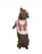 German Dog Tee Shirt: Dirndl - GermanGiftOutlet.com
